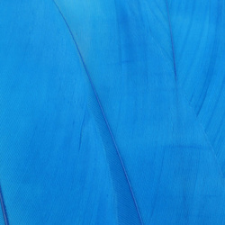 FFGene Hombros de ganso