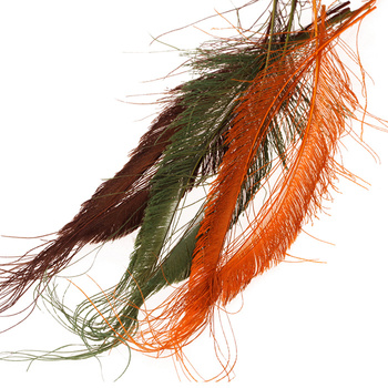 Plumas espada de cola de pavo real blanqueadas FFGene