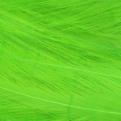 Hareline Hackle de cuello para moscas de agua salada