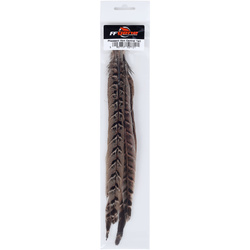 Plumas centrales de cola de hembra de faisán FFGene