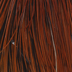 Capa de plumas del cuello de gallo Whiting Hebert Bronze