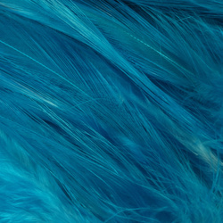 Hareline Hackle de cuello para moscas de agua salada