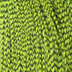 Hareline medio cuello de plumas