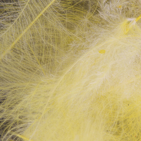 FFGene Paquete Jambo de plumas CDC teñidas - 1 gr