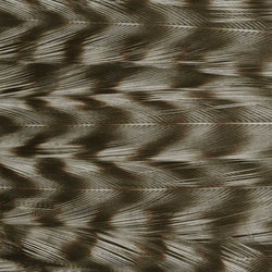 Ewing parche de plumas Deceiver teñidas