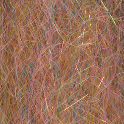 Fibras sintéticas H2O Steve Farrar SF Blend