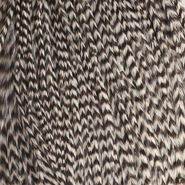 Hareline medio cuello de plumas