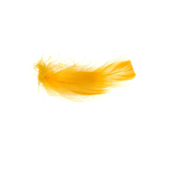 FFGene Tucan Sub Pluma