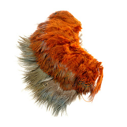 Wapsi Plumas para hackle de faisán de collar