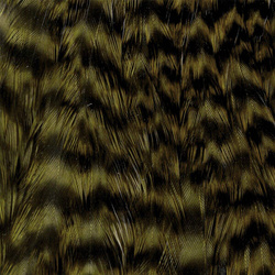 Cuello de gallina Wapsi Grizzly