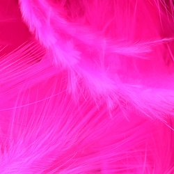 Metz plumas para hackle blando