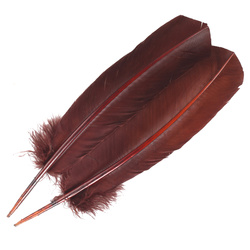 FFGene Plumas de ala de pavo