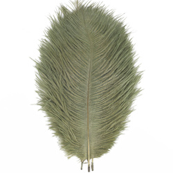 FFGene Plumas de avestruz para hackle