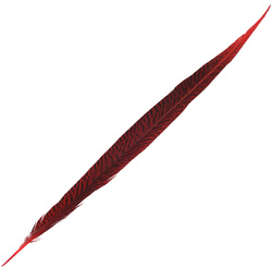FFGene Plumas de cola de faisán dorado