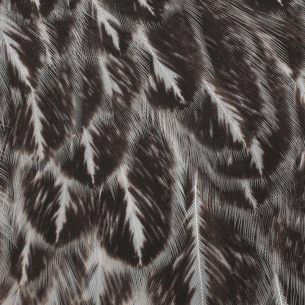 Parche de colgadera de gallina Wapsi para moscas de pluma blanda