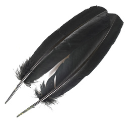 FFGene Plumas de ala de pavo