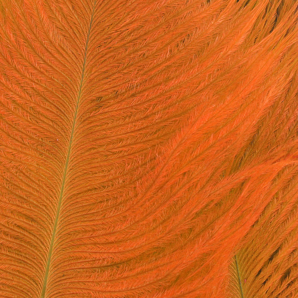 Wapsi Ostrich Marabou