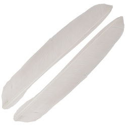 FFGene Biots de pluma de pavo