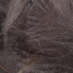 FFGene Plumas CDC Oxyd Jambo Pack - 1 gr