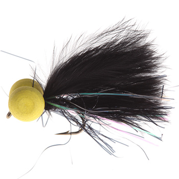 Booby Negro Ojos Amarillos