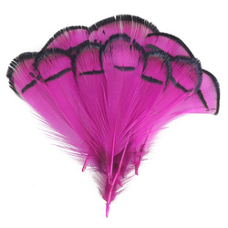 FFGene Plumas del cuello de faisán de Lady Amherst