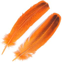 FFGene Plumas de ala de pavo moteadas