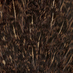 Colgadera moteada de gallina FFGene India