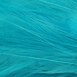 Hareline Hackle de cuello para moscas de agua salada