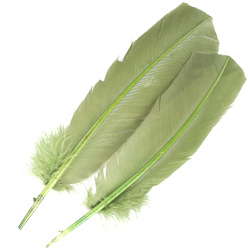 FFGene Plumas de ala de pavo