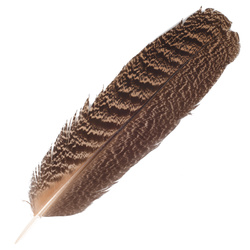 FFGene Plumas de ala de pavo real moteadas