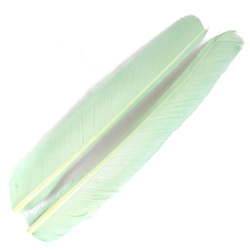 FFGene Biots de pluma de pavo