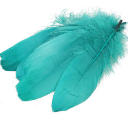 Wapsi plumas de los hombros de oca