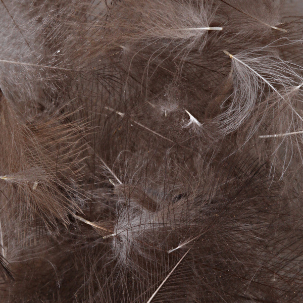 Hareline Plumas de CDC