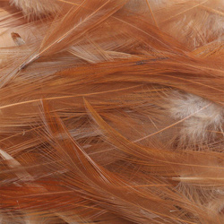 Wapsi minipaquete de plumas de cuello de gallo para hackle
