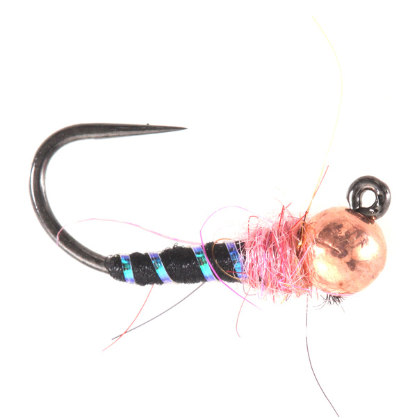 Ninfa de tungsteno BH Black Rinned