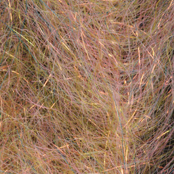 Cepillo H2O Flash Blend Baitfish de 1 pulgada (flash)