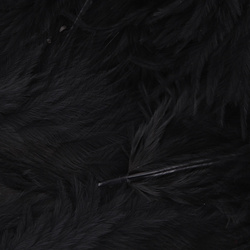 Hareline Grizzly plumas para hackle blando