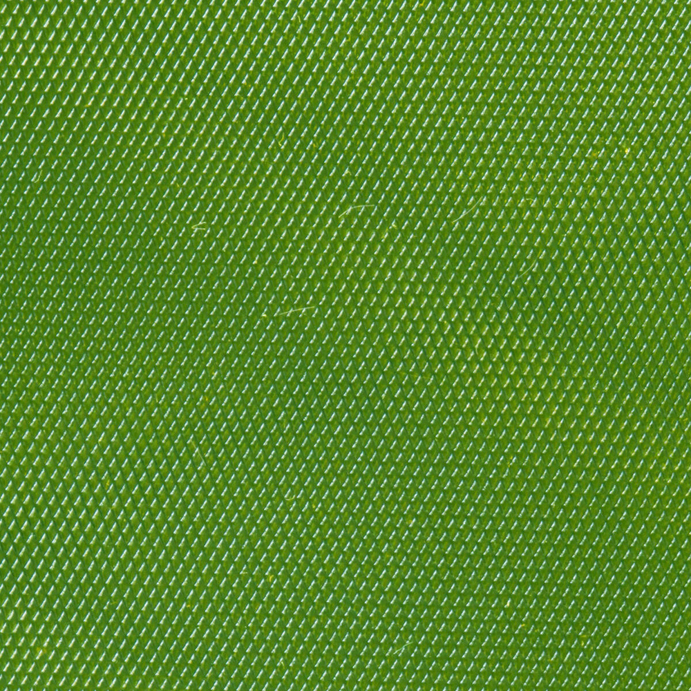 Insect Green