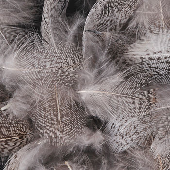 FFGene plumas de perdiz húngara 1 gram