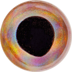 Ojos para moscas FFGene FF Gene Living 3-D Eyes