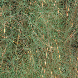 Cepillo H2O Flash Blend Baitfish de 2 pulgadas (flash)