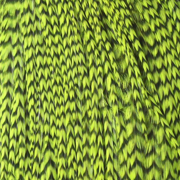 Hareline medio cuello de plumas