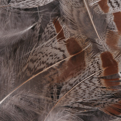 FFGene plumas de perdiz húngara 1 gram