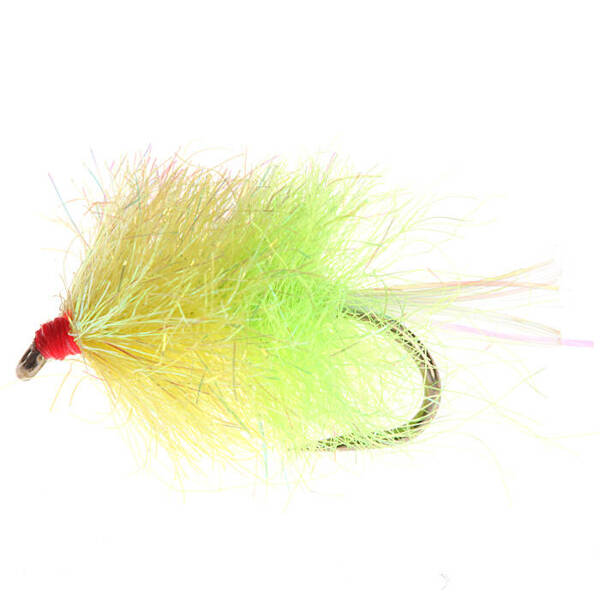 Blob SLF Flashy Fy Amarillo y Chartreuse