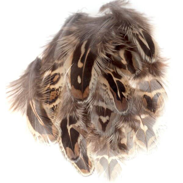 FFGene Hen Pheasant Shoulder Feathers