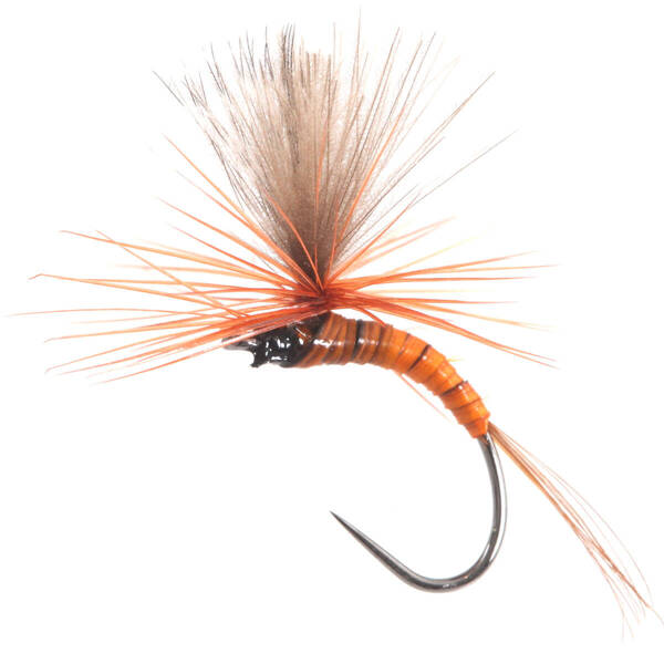 Paracaídas Emerger CDC Red Quill