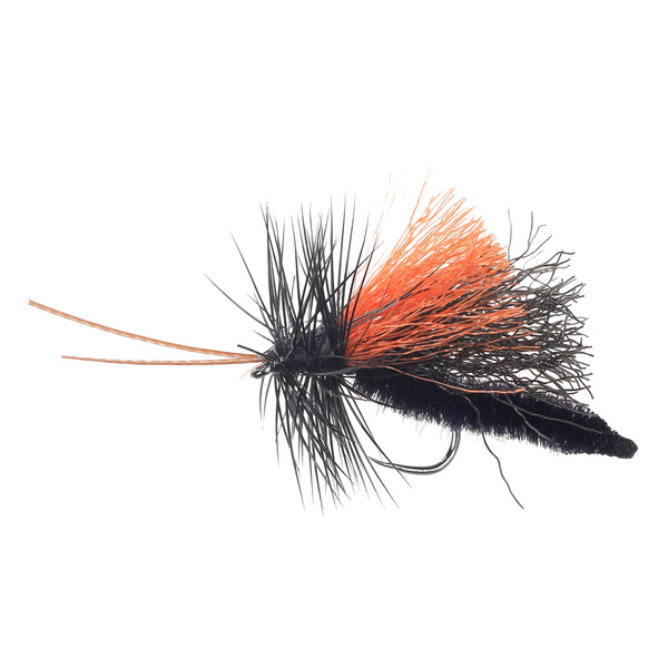 Poly Wings Extended Body Black Caddis