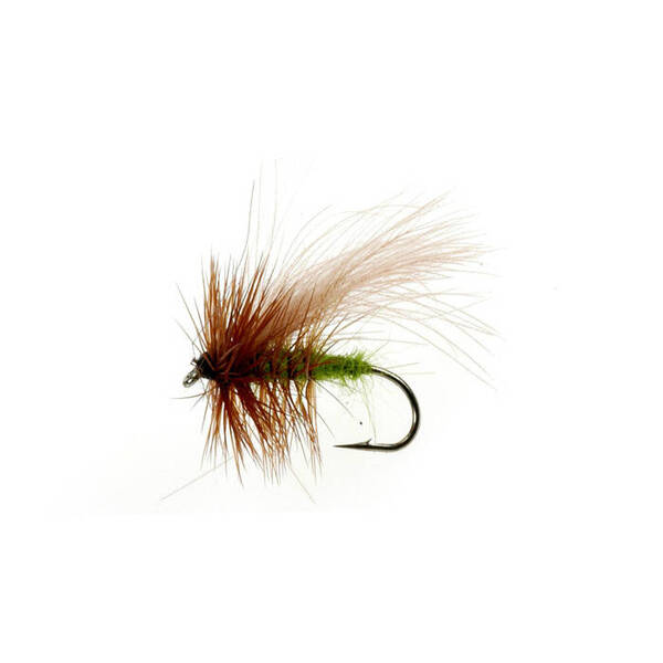 Sedge CDC Chartreuse (431)