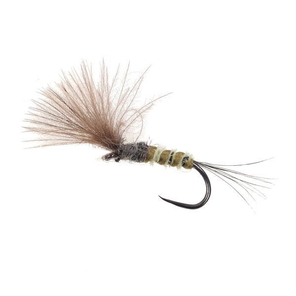 Tan CDC Emerger